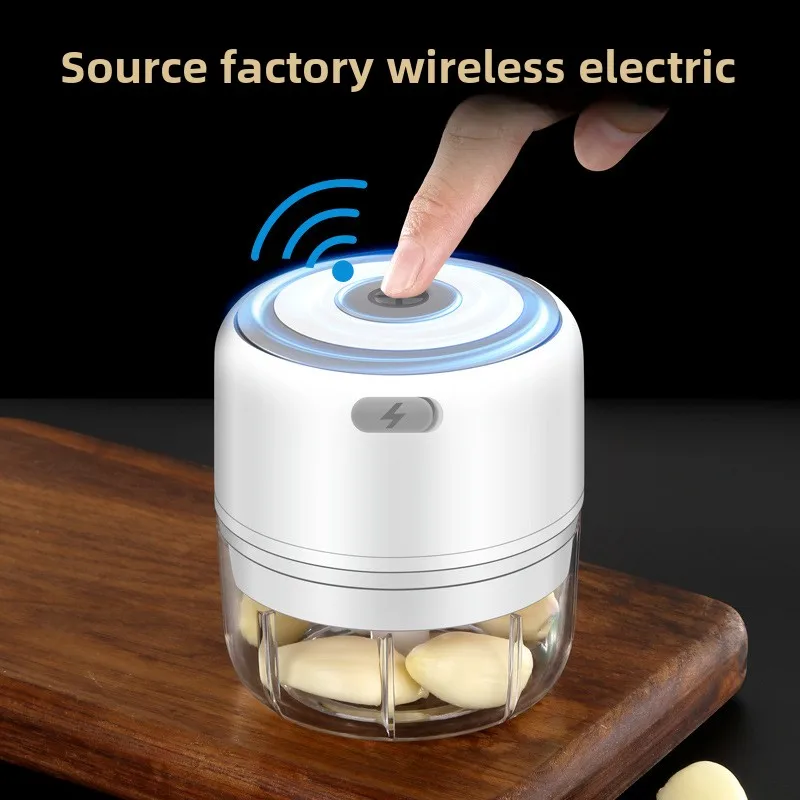 Electric Mini Garlic Chopper 1 - Baby Food Processor recensione e prezzo