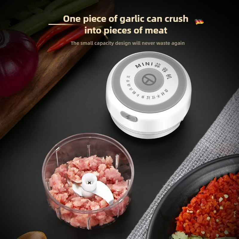 Electric Mini Garlic Chopper 1 - Baby Food Processor recensione e prezzo
