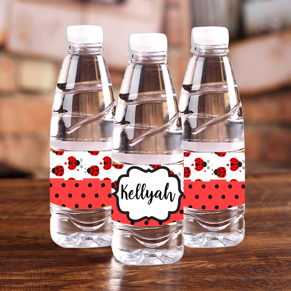 Personalised Ladybug Red Polka - Baby Food Processor recensione e prezzo